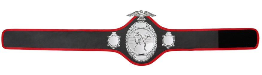 THAI BOXING CHAMPIONSHIP BELT - PRO288/S/TBOS - 10 COLOURS THAI BOXING CHAMPIONSHIP BELT - PRO288/S/TBOS - 10 COLOURS